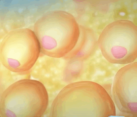 dd8ce78a-68c4-4f36-80ba-84e10b2028a1.gif dd8ce78a-68c4-4f36-80ba-84e10b2028a1.gif